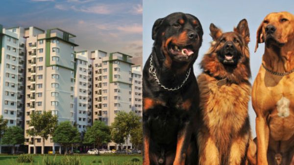 Bengaluru Apartment's Rs 10,000 Pet Fee Sparks Social Media Outcry