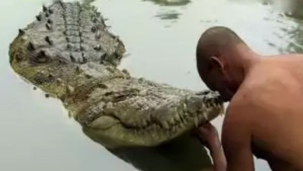 One Year Later, New Crocodile Shocks Devotees At Anantha Padmanabhaswamy Temple