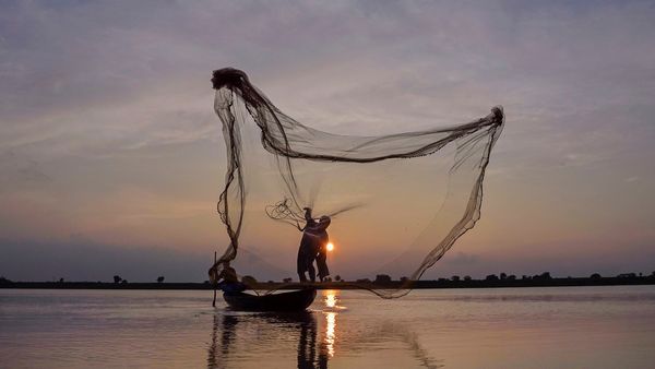 By Selling Rare Fish, Pakistani Fisherman Becomes Millionaire Overnight