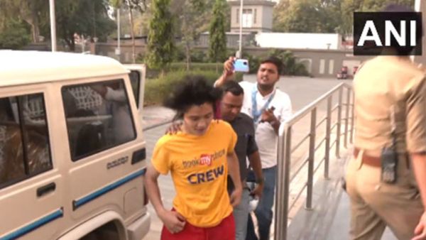 Man Breaches Security With 'Pro-Palestine' Message During Ind Vs Aus Match: Who Is He?