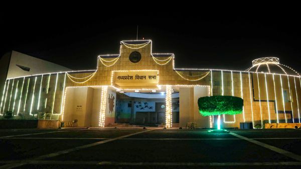 Madhya Pradesh Assembly Elections 2023: Who Are The Richest And Poorest Candidates In The Fray?