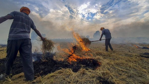 Pollution: Crop Residue Burning Has To Be Stopped, Says SC