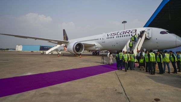 Stray Dog On Goa Airport Runway Forces Vistara Flight To Return To Bengaluru