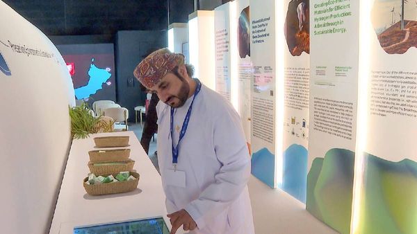 Omans Frankincense Tree Marks a Green Beacon at COP28