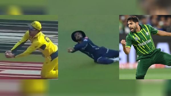 Year Ender 2023: From Travis Head To Rashid Khan, Watch Best Catches Of 2023