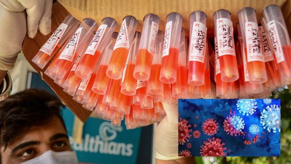 Covid Subvariant JN.1 In Kerala: How Dangerous Is It? Know All About New Omicron Subvariant