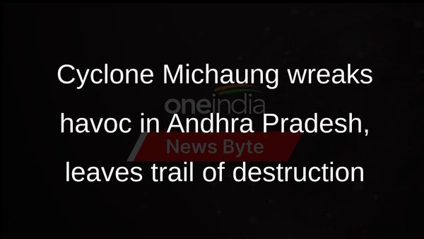 Cyclone Michaung leaves trail of destruction in Andhra Pradesh