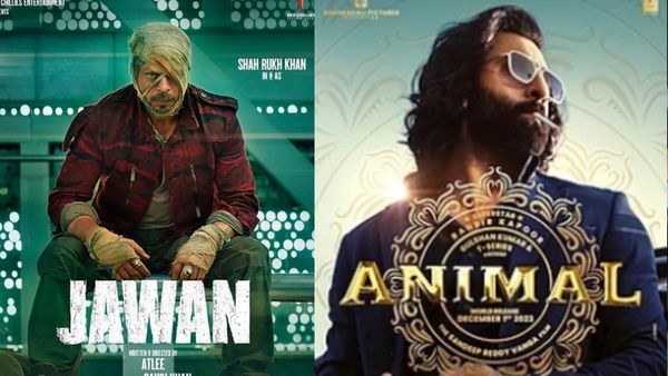 Top 10 Highest Grossing Hindi Movies Of 2023: Check Full List