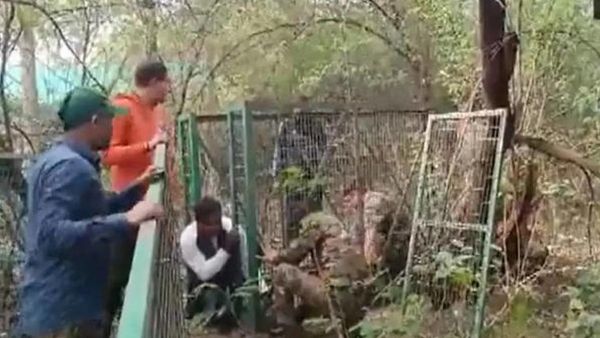 Watch CCTV Video: Leopard On Streets Of Delhi