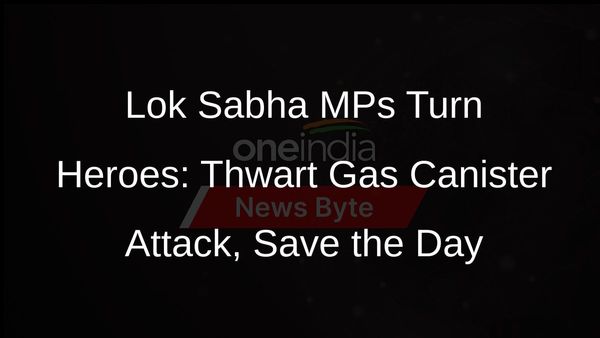 Lok Sabha MPs hailed as saviours after overpowering gas canister attackers