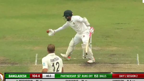 Bang Vs NZ: Mushfiqur Rahim Gets Out In A Bizzare Style, Watch Video 