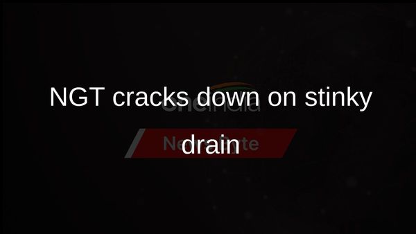 NGT directs authorities to de-silt drain to prevent putrid odour