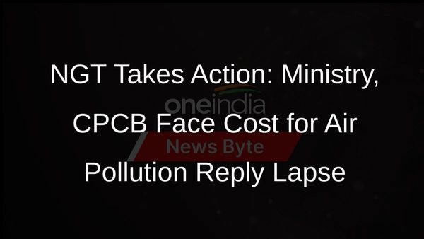 NGT Raps Environment Ministry, CPCB for Vague Reply on Air Pollution