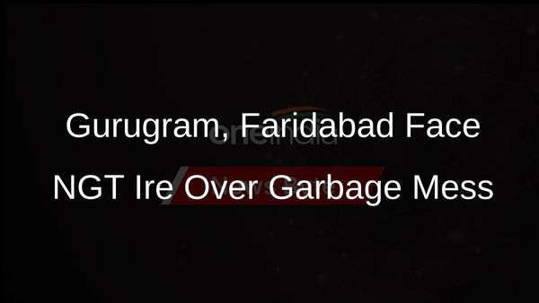 NGT Summons Gurugram, Faridabad Commissioners Over Poor Garbage Disposal