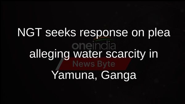 NGT seeks response from Centre, NTPC on plea alleging scarcity of water in Yamuna, Ganga in Prayagraj