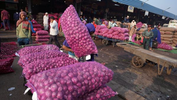 Ahead Of Lok Sabha Polls 2024, Centre Bans Onion Export Till March 2024