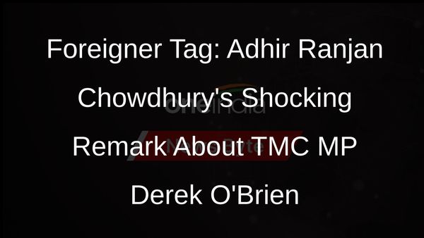 TMC MP Derek OBrien Called a Foreigner by West Bengal Congress President Adhir Ranjan Chowdhury