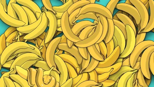 Optical Illusion To Test Your IQ: Find The Hidden Snake Among Bananas In The Picture Within 5 Secs
