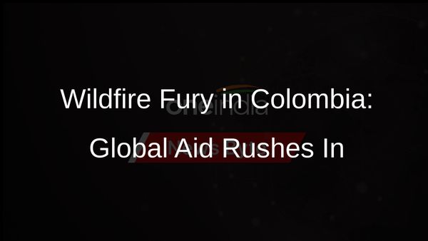 Colombia Declares Disaster, Seeks Global Help for Raging Wildfires