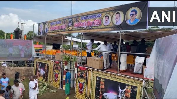 Jallikattu Goes Global: Sri Lanka Hosts Event On Jan 6!