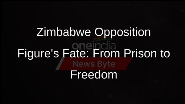 Job Sikhala: Zimbabwe Opposition Figure Freed After Suspended Sentence
