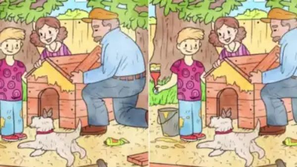 Optical Illusion Test: People With Eagle-Eye Can Spot All Animals In Picture Within 7-Seconds