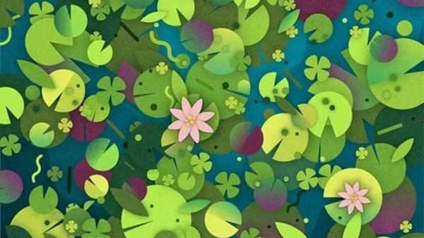 Optical Illusion Challenge: Can You Spot The Hidden Turtle Within 21 Seconds?