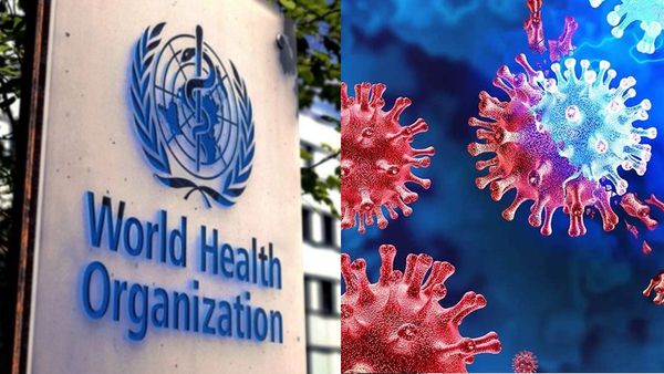 WHO's Warning: 'Disease X' Looms, Future Pandemic Could Outstrip COVID By 20 Times