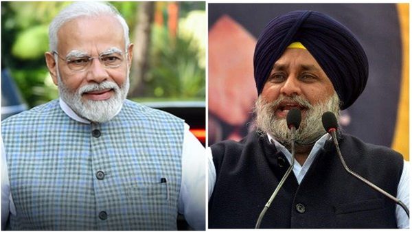 BJP To Go Solo In Punjab As Talks With Akali Dal Fail Ahead Of LS Polls