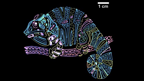 Printing Like A Chameleon, One Color At A Time