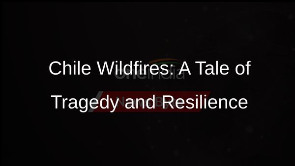 Chile Wildfires: Devastating Blaze Claims Lives, Destroys Homes