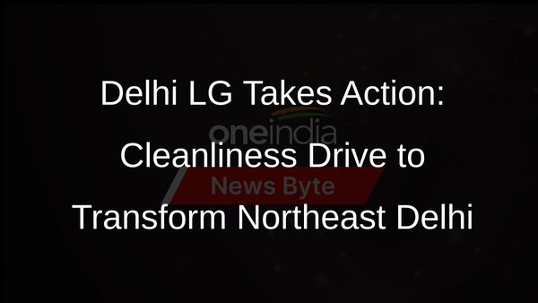 Delhi LG Orders Cleanliness Drive in Northeast Delhi Areas