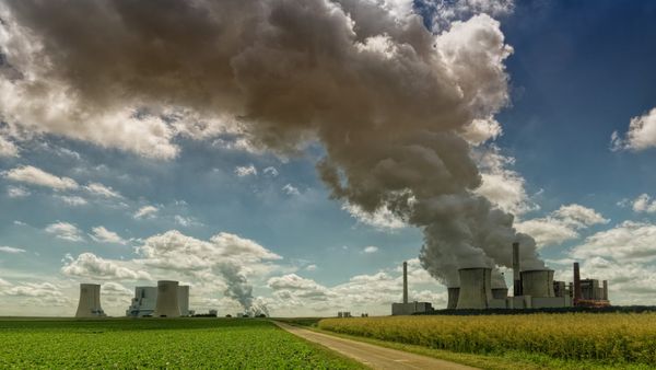 Carbon Cash: What Is Emissions Trading; How South Korea's Major Polluters Reap Profits From It?