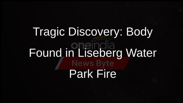 Body Found in Devastating Liseberg Water Park Fire