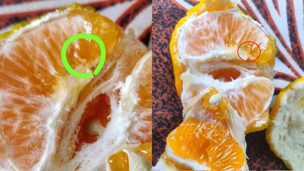 Viral Video Of Live Worm In Orange Bought From Zepto Shocks Internet, Company Responds