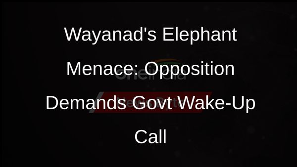 Wayanad: Opposition Leader Slams Govt Over Wild Elephant Attacks, Demands Action