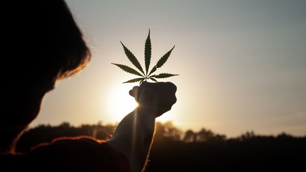 Germany Is Set To Legalise Cannabis: What Are The Complications?