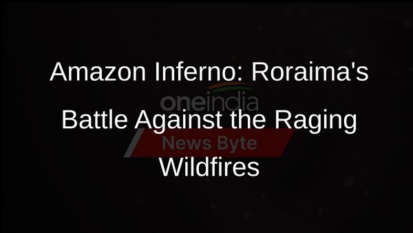Raging Inferno: Amazon Rainforest Battles Over 2,000 Fires in Roraima, Brazil