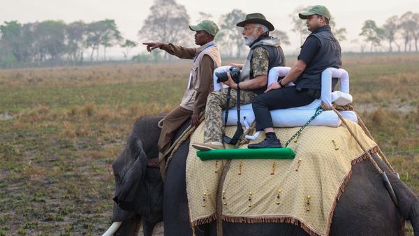 Watch | PM Modi's Wild Adventure: Elephant Safari In Kaziranga