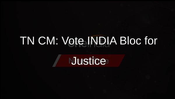 Vote for INDIA Bloc to Ensure Democracy, Social Justice: TN CM to Voters