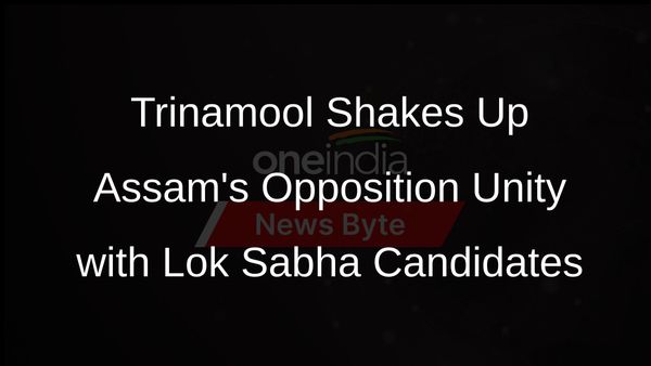 Trinamool Congress Announces Candidates for Four Lok Sabha Seats in Assam