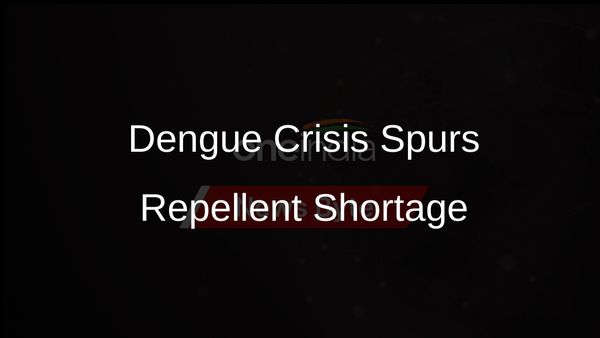 Argentina Battles Dengue Outbreak with Severe Mosquito Repellent Shortage