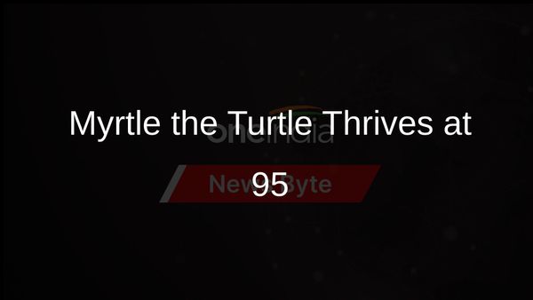 Ancient Sea Turtle Myrtle in Robust Health After 50 Years at Boston Aquarium