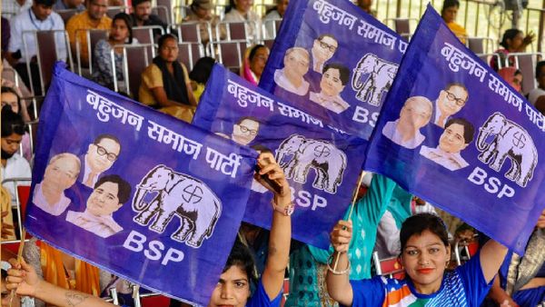 Lok Sabha Elections 2024: BSP's Neyaz Ali To Contest Against PM Modi In Varanasi
