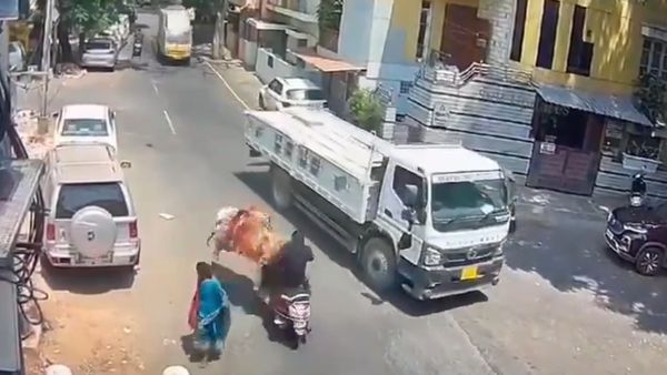 CCTV Video Shows Bull Attacking Scooter In Bengaluru, Truck Driver Saves The Day (Watch)