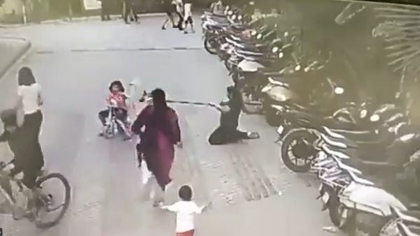 Caught on Camera: German Shepherd Attacks Child in Ghaziabad