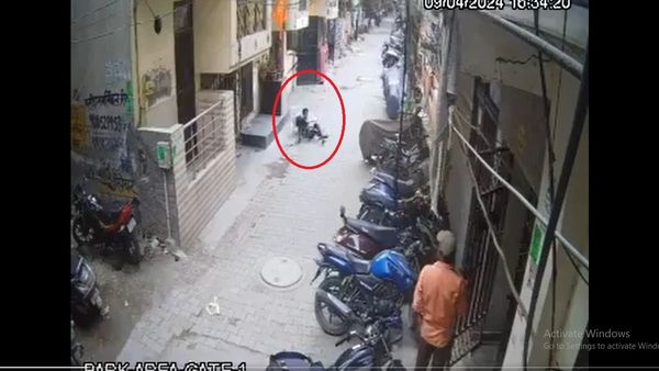 CCTV Footage Shows Stray Dogs Rescued A Boy Attacked By Pit Bull In Ghaziabad