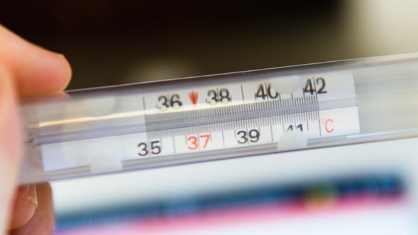 What Is Hay Fever Season And How Japanese Firms Are Dealing With It?