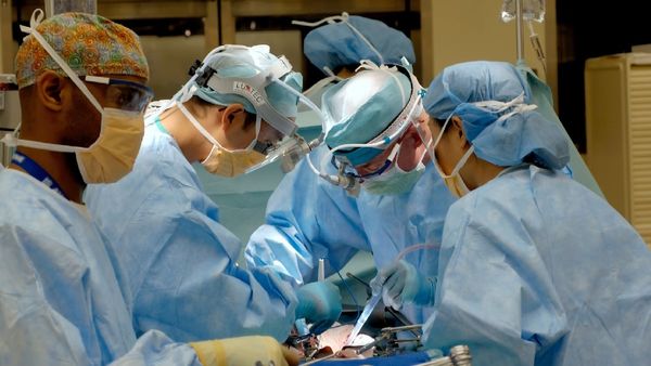 Who Is Lisa Pisano, New Jersey Woman Gets Pig Kidney Transplant And Heart Pump?