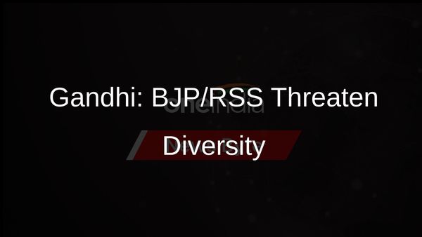Rahul Gandhi: BJP, RSS Endangering India's Diversity, Congress to Safeguard Rights